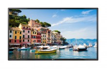 Large Screen Full HD Capable Monitor